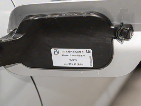 2025�� �Ŀ��� 300TSI DSG��Խ��