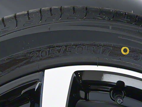 2026�� 437 ���ɰ�