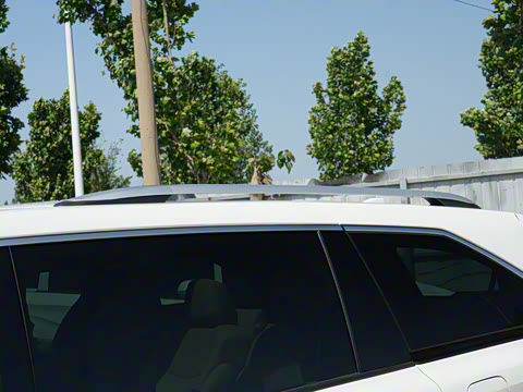 2023�� 2.5L�춯 ���PLUS��