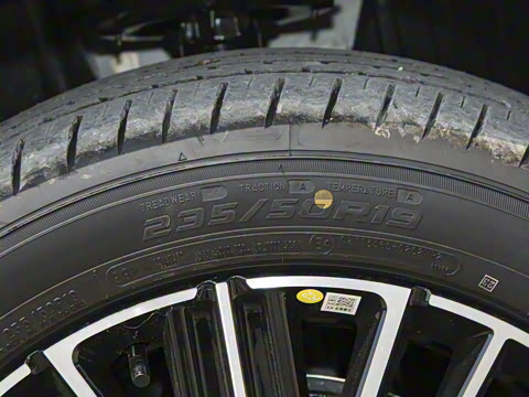 2025�� 300T ������ҹ��