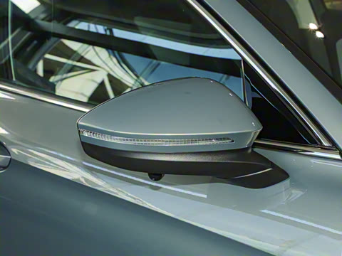 2024�� 300TSI DSG������