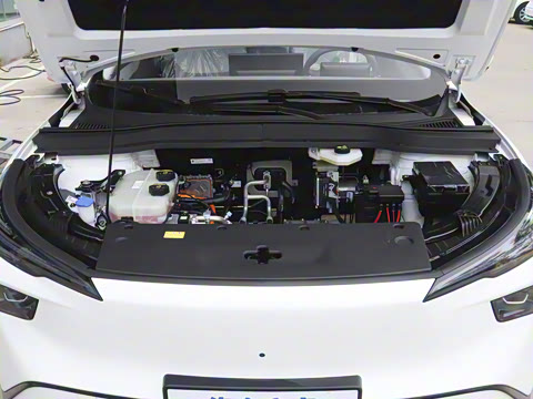 2025�� 565km ������