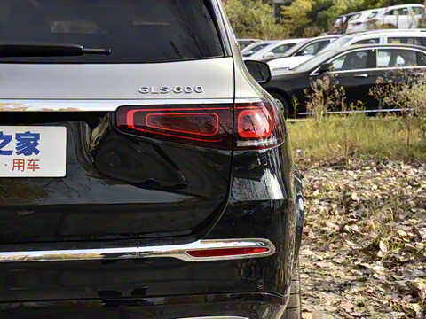 2021�� GLS 600 4MATIC ���а�