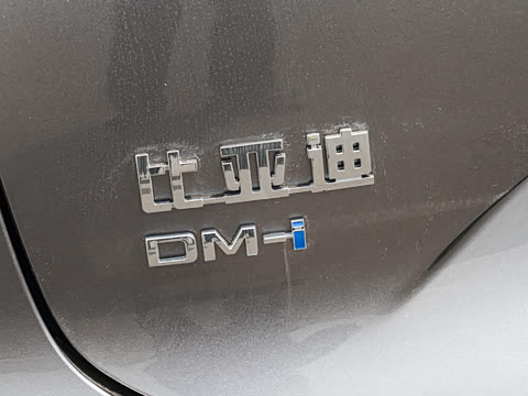 2025�� DM-i 200KM�����״�������