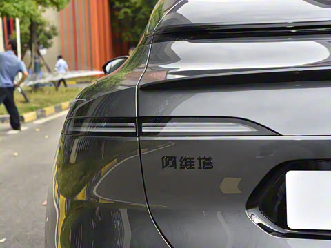 2025�� Max�����