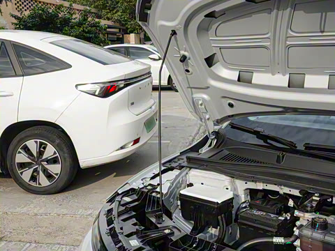 2025�� 550������