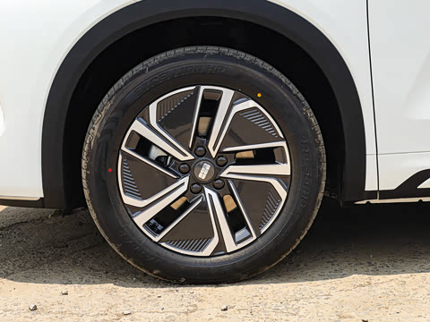 2025�� 55km ������