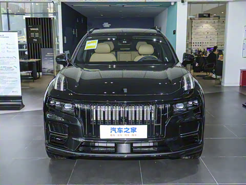 2025�� 2.0TD EM-P ����Max ����