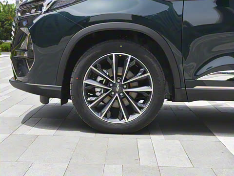 2022�� 290T �����籩�� 5��