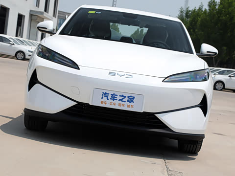 2025�� 520�ǻݰ�