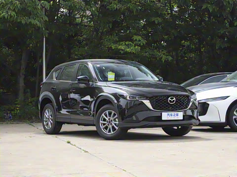 2024�� 2.0L �Զ�����������