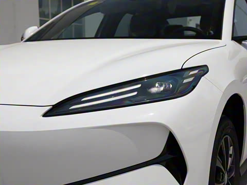 2025�� 520�ǻݰ�