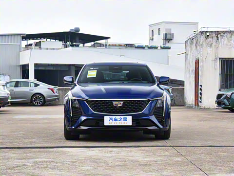 2025�� 28T �����˶���