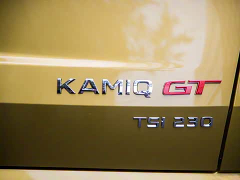2020�� GT TSI230 DSG�콢�� ��VI