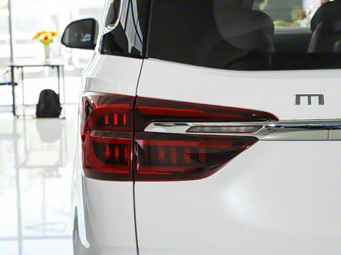 2025�� MAX 2.0T �Զ������� ���� 7��