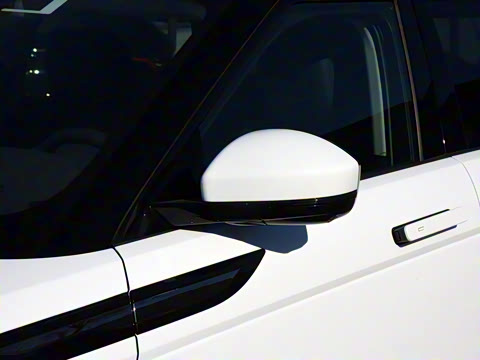 2021�� ����L P300e ������