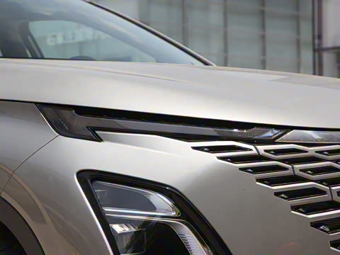 2022�� 1.6TGDI DCT��ά��