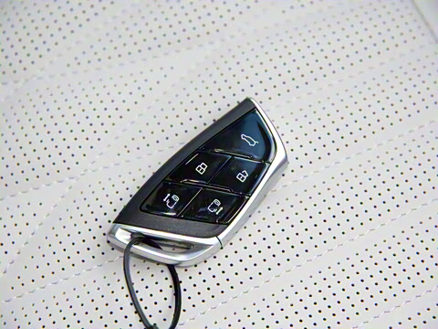 2022�� ������ ɭ��������