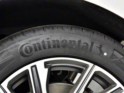 2024�� �Ŀ� ���� ��������ɭ�ְ� ����