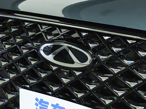 2025�� 290TGDI DCT�˷�� 