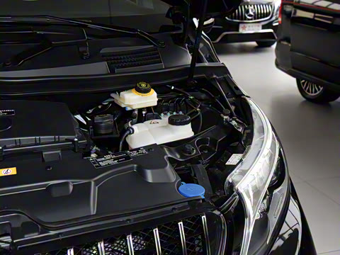 2020�� �������Ȱ�