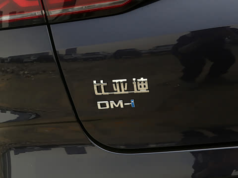 2025�� DM-i �Ǽݰ� 120KM׿Խ��