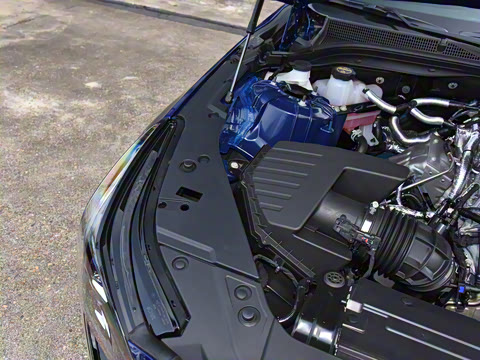 2025�� 28T �����˶���