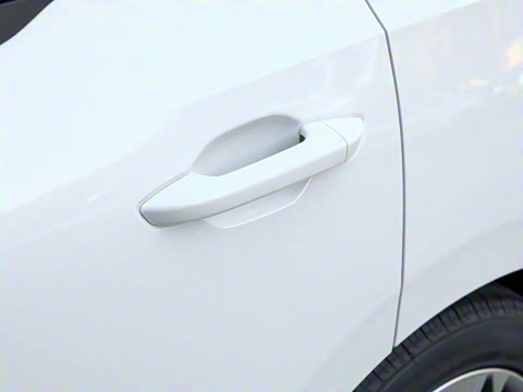 2023�� PRO �������а� 425km