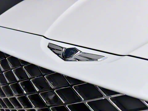 2021�� 2.5T ����������