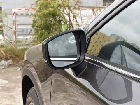 2025�� 2.0L �Զ���������Pro