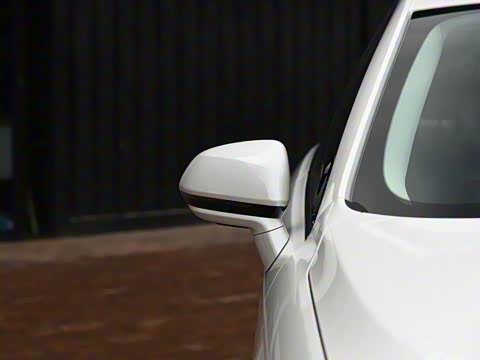 2019�� EcoBoost 245 ������