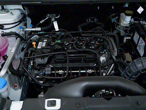 2025�� 1.5L �ֶ�׿Խ��