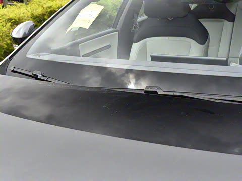 2025�� Max�����