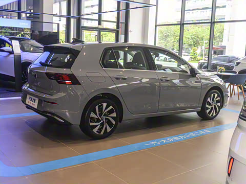 2025�� �Ŀ� 300TSI Pro