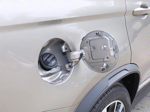 2020�� �Ŀ� 1.5T �Զ������� 7��