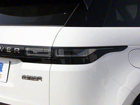 2022�� ����L P300e ���ʽ�綯��ϰ�