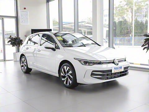 2025�� �Ŀ� 300TSI Pro