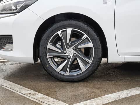 2019�� 1.5T �ֶ����ǰ� ��V