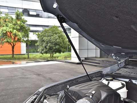 2023�� 4.6L V8 �캽��