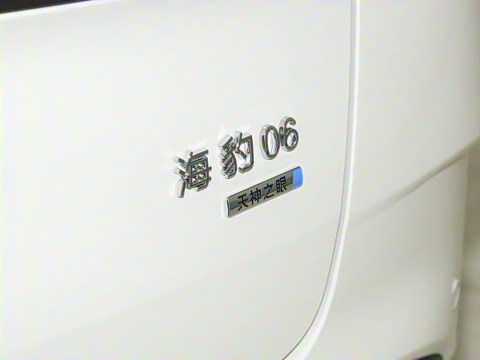 2025�� DM-i 80KM�����