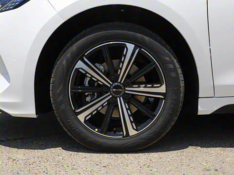 2023�� �ھ��� DM-i 120KM �콢��