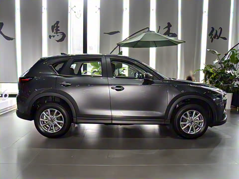 2025�� 2.0L �Զ�����������