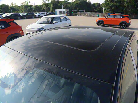 2024�� ������������