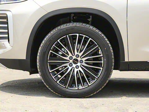 2025�� 300T ������ҹ��