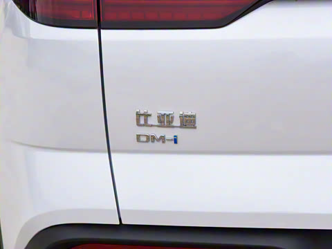 2023�� �ھ��� DM-i 110KM��Խ��