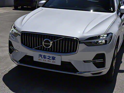 2024�� T8 ���춯 �������������ź�����