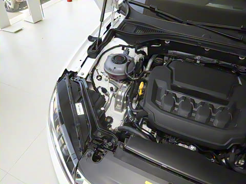 2025�� TSI330 DSG������