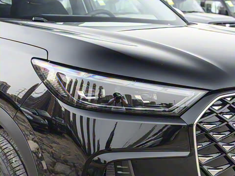 2025�� 290TGDI DCT�˷�� 