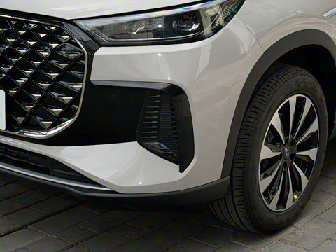 2025�� 290TGDI DCT�˷�� 