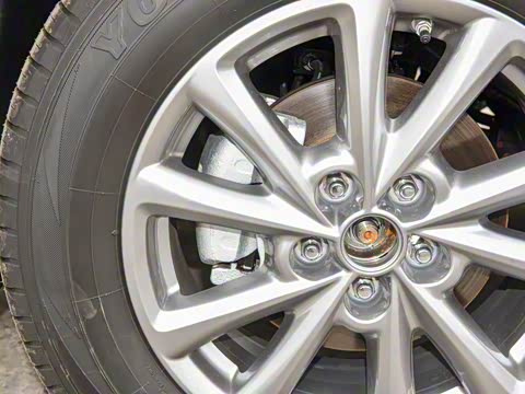 2025�� 2.0L �Զ���������Pro